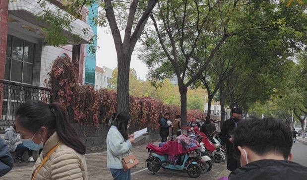 教资证书查询结果在哪里查-教资证书查询结果在官网查