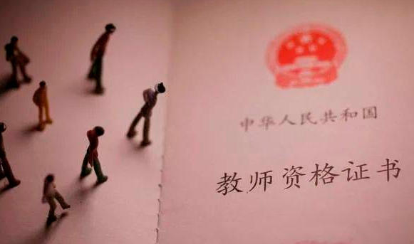 教师资格学科知识-教师学科知识